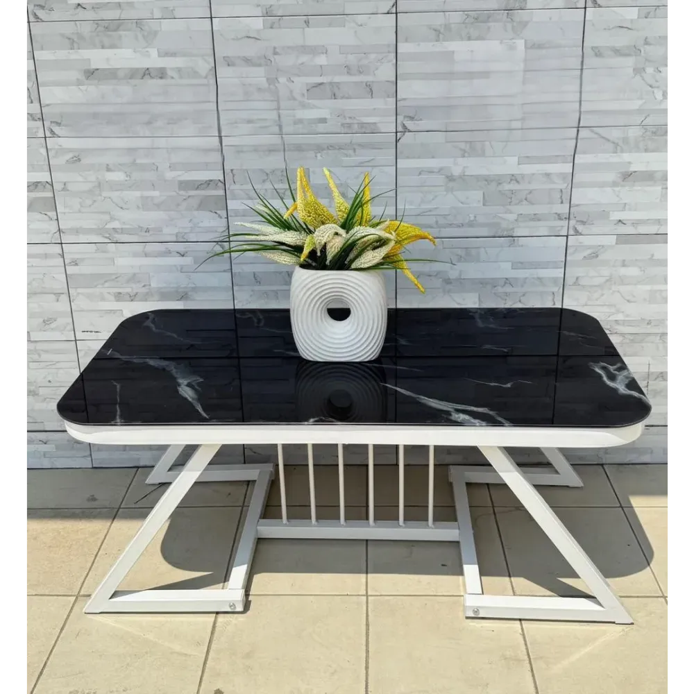 TABLE BASSE DE STYLE MODERNE